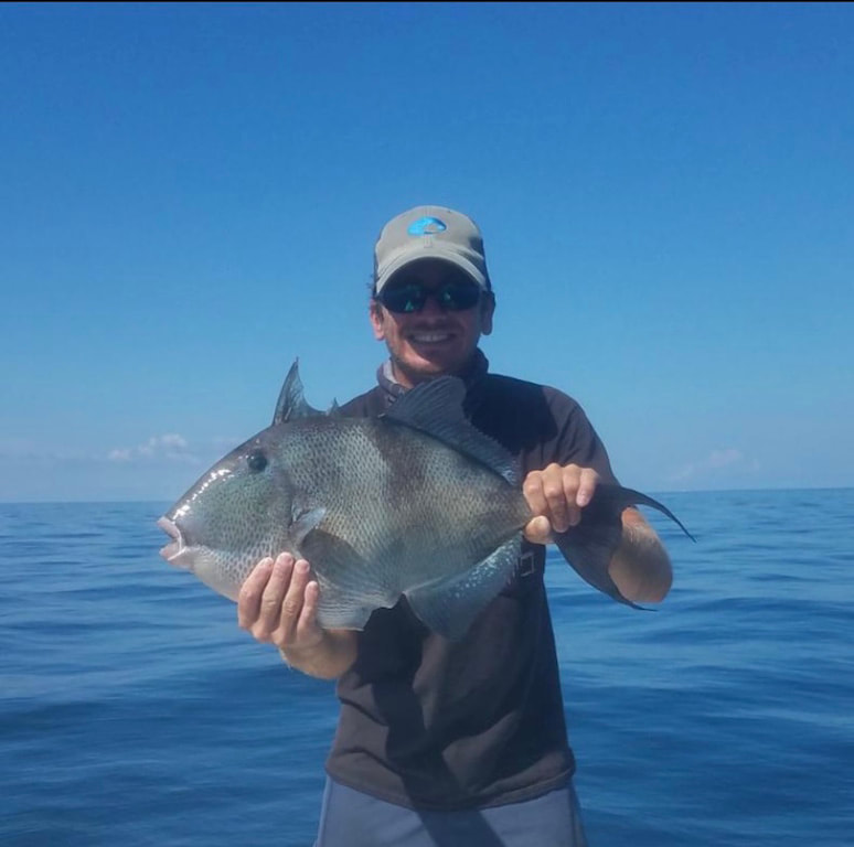 Triggerfish, Destin Gulf of Mexico