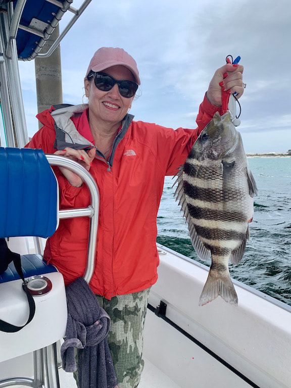 Sheepshead are perfect to fry up for fish tacos